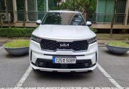 쏘렌토 2.2 프레스티지 디젤 2WD 125호5089 쏘렌토장기렌트, 개인사업자장기렌트